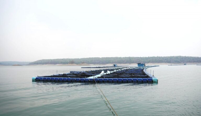 छत्तीसगढ़ में फिशरीज के नये युग की शुरूआत…..हसदेव डुबान में बनेगा पहला एक्वा पार्क…